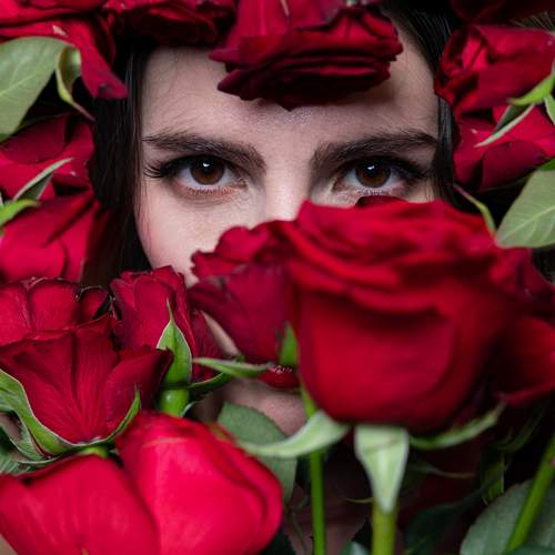 Photo #13383669