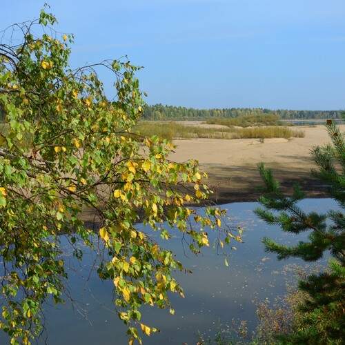 Фотография #13383781