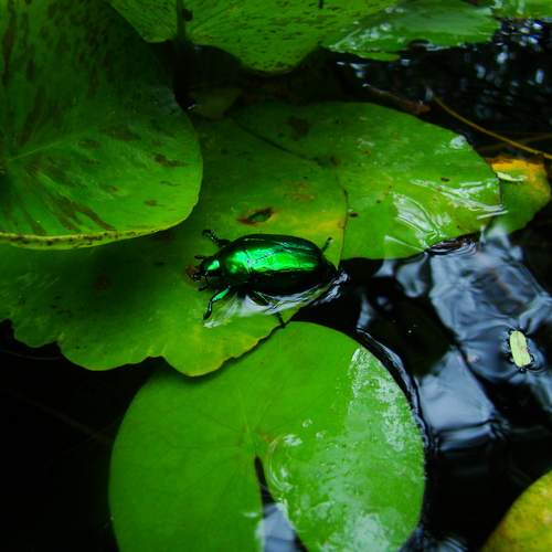 Photo #13383804
