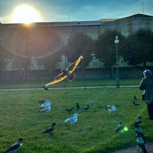 Photo #13383820