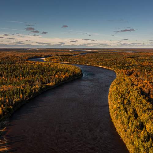 Ты неси меня река