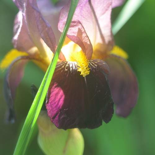 Фотография #13383939