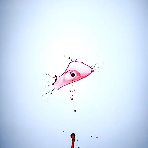 The eyes of the water