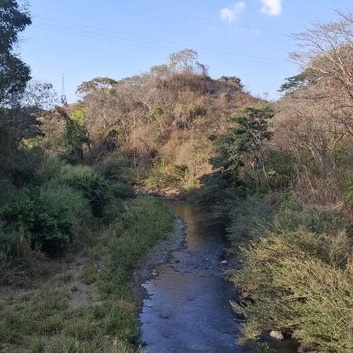 Photo #13383987