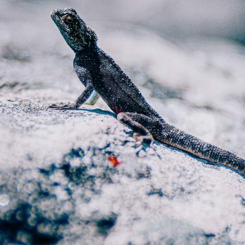 Photo #13384036