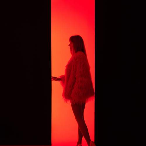 Photo #13384102