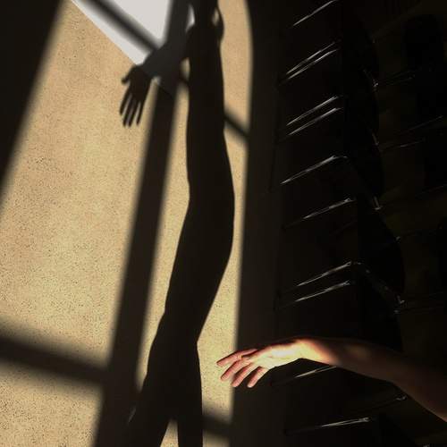 Photo #13384153