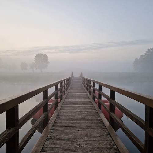 Photo #13384225