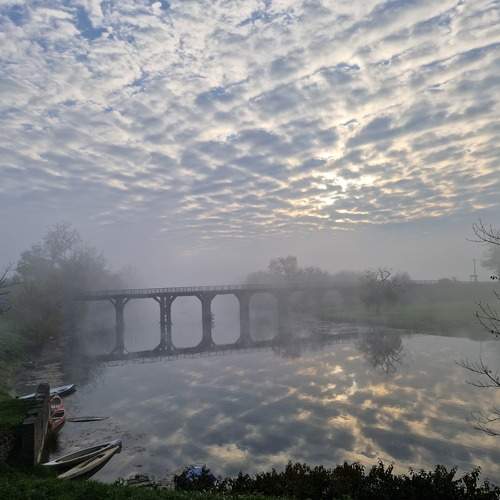 Photo #13384229