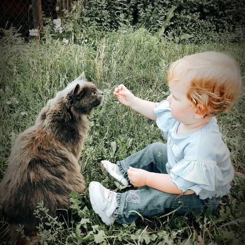 Photo #13384245