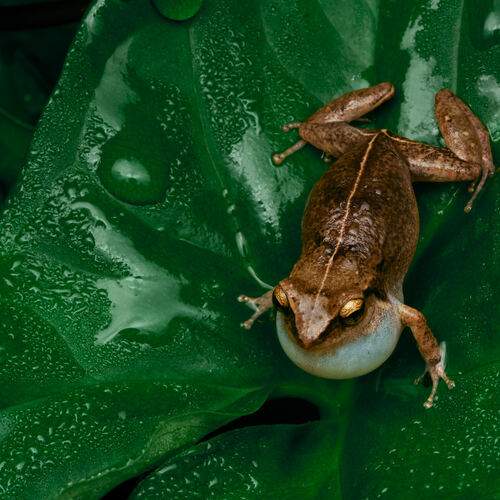 Photo #13384298