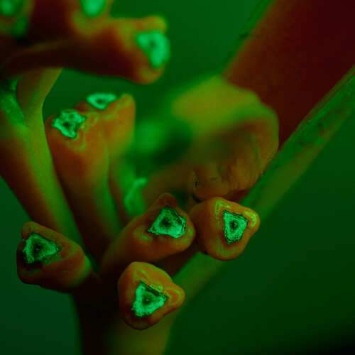 Photo #13384320