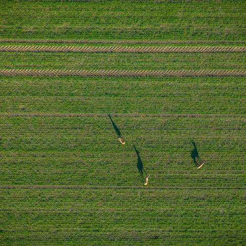 Фотография #13384577