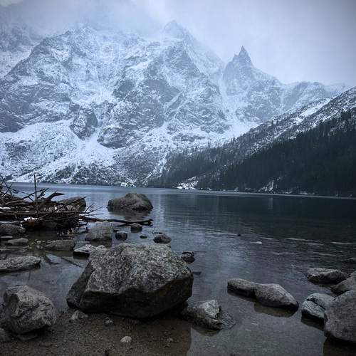 Photo #13384813