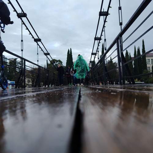 Photo #13384953