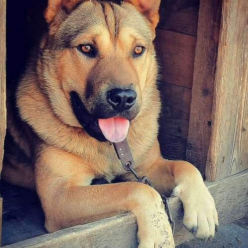 Photo #13385091