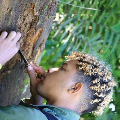 Photo #13385153