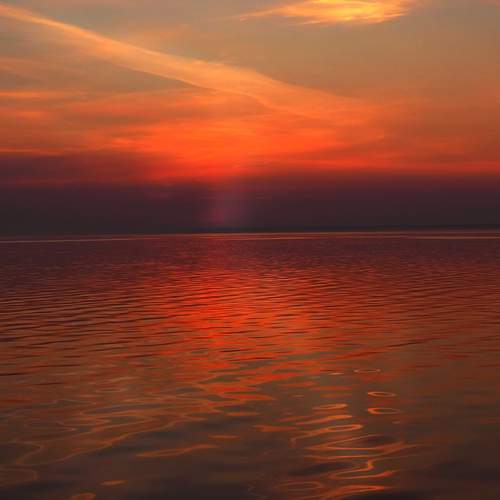 Photo #13385327