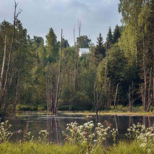 Photo #13385516