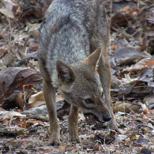 Photo #13385534