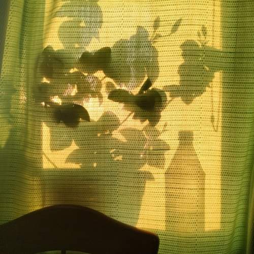 Photo #13385604