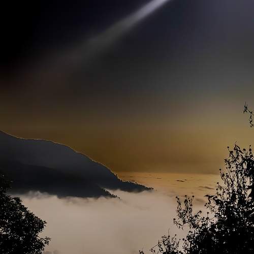 Photo #13385675