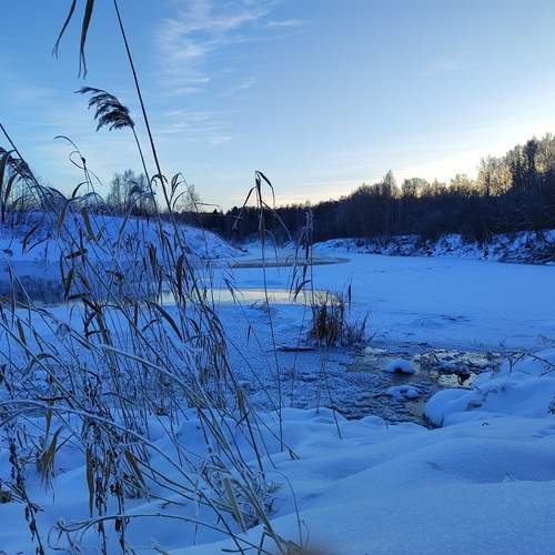 Photo #13385849