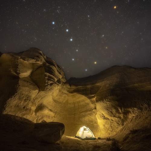 Фотография #13385875