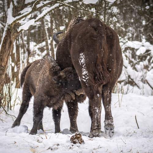 Фотография #13386105