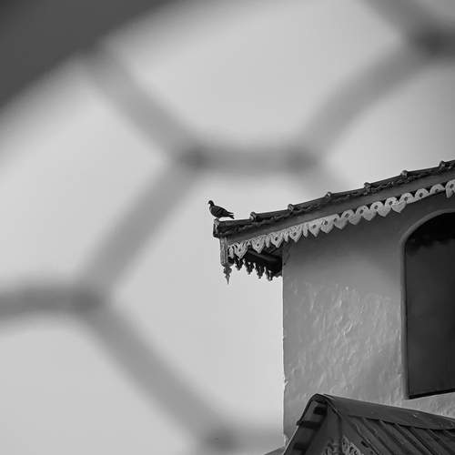 Photo #13386180