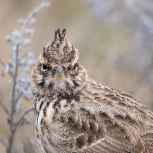 Фотография #13386195