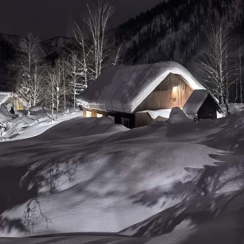 Photo #13386252