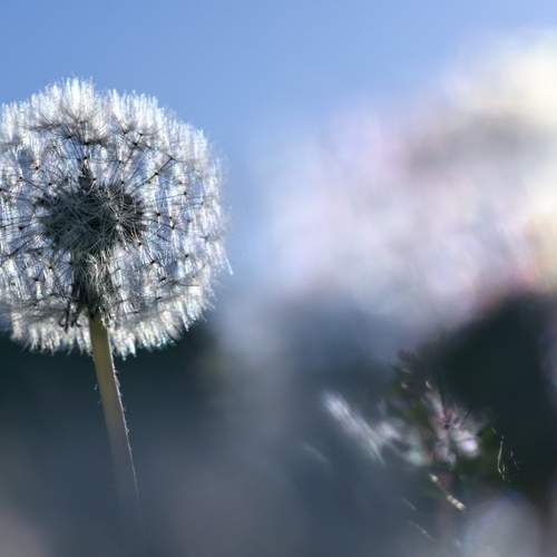 Photo #13386549