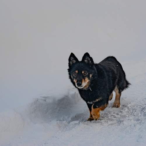 Photo #13386566