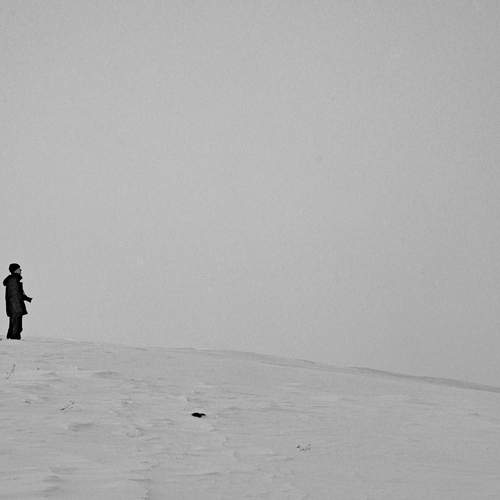 Photo #13386590