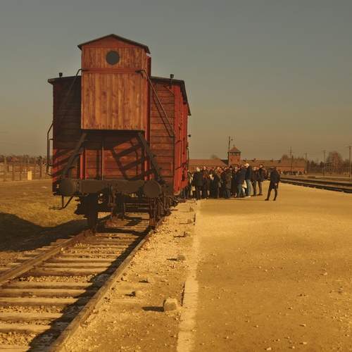Photo #13386929