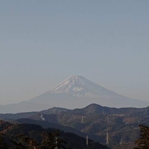 Фотография #13386980