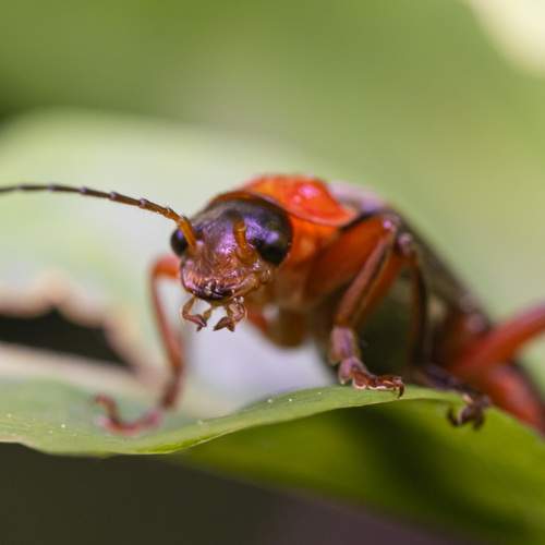 Photo #13386983