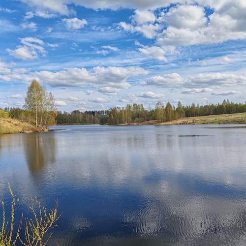 Photo #13387114