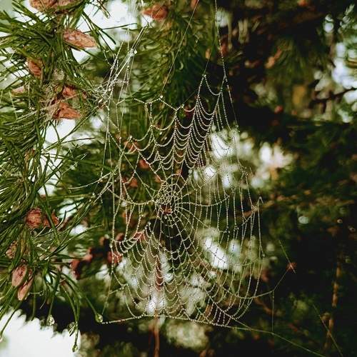 Photo #13387130