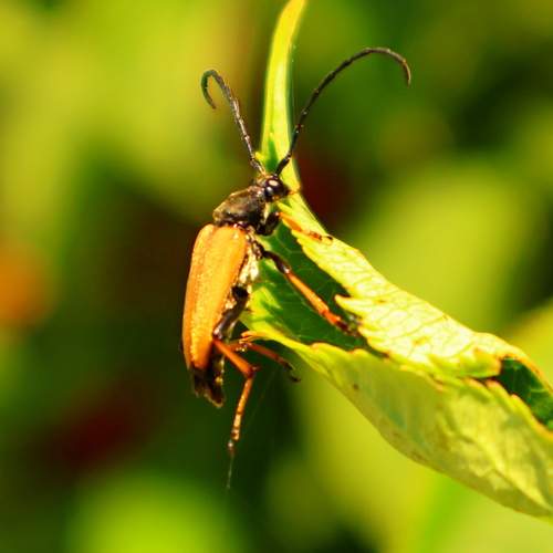 Photo #13387143