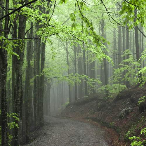 Photo #13387226