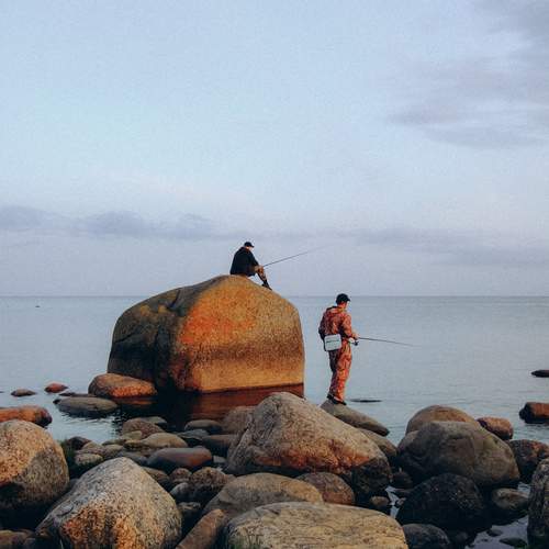 Photo #13387283