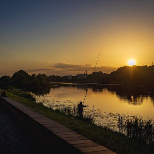Photo #13387300