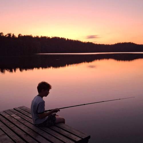 Photo #13387383
