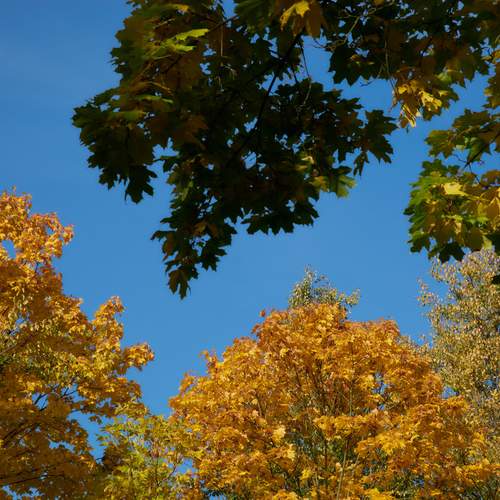 Photo #13387569