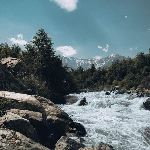 Photo #13387603