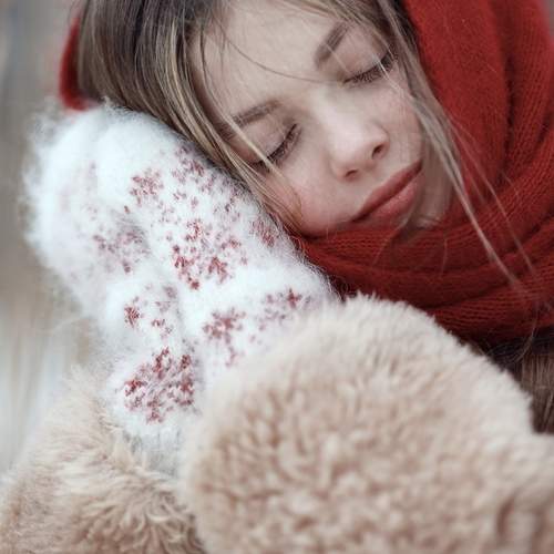 Photo #13387668