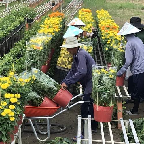 Photo #13387787