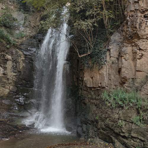 Photo #13387812